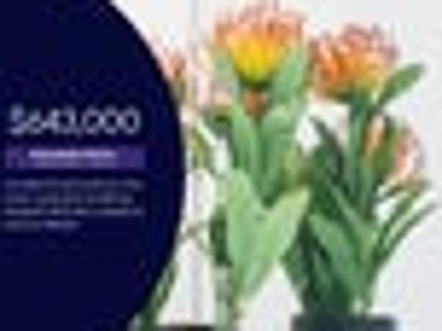 House for sale in Putaruru, Waikato