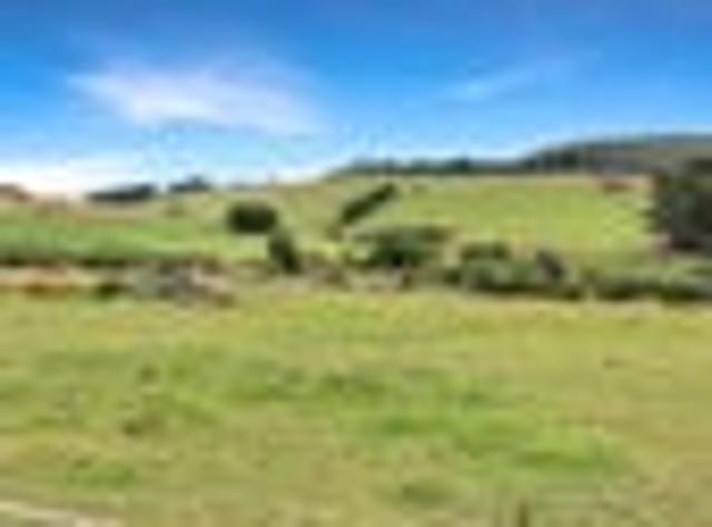 Land for sale in Longwood, Southland