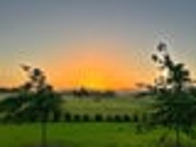 Land for sale in Cape Palliser, Wellington