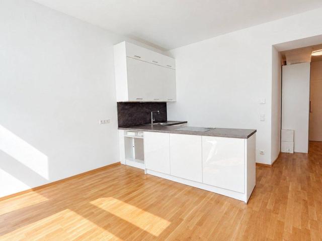 Apartment kaufen in Ottakring, Wien