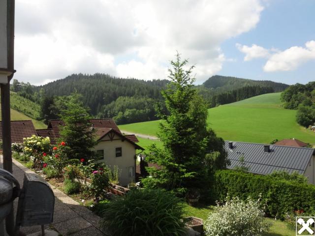 Haus kaufen in Zöbern, Niederösterreich