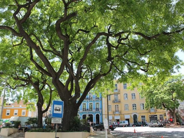 Casa alugar em Lisboa