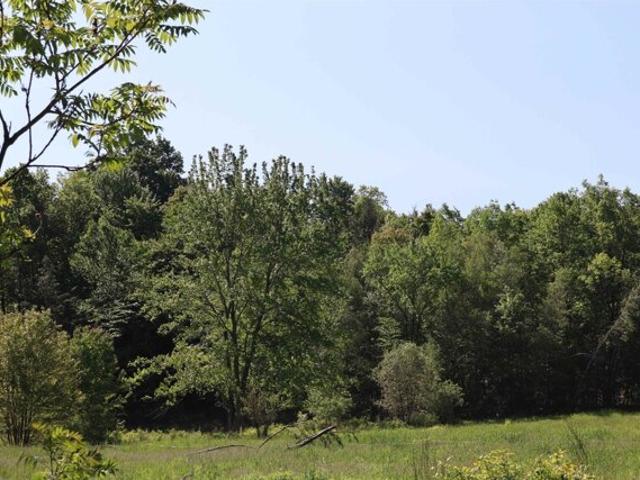 Land for sale in Salisbury, Vermont