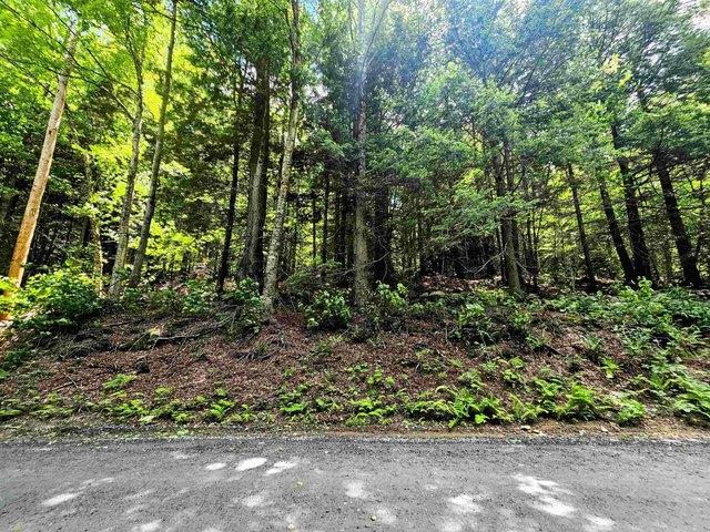 Land for sale in Wardsboro, Vermont