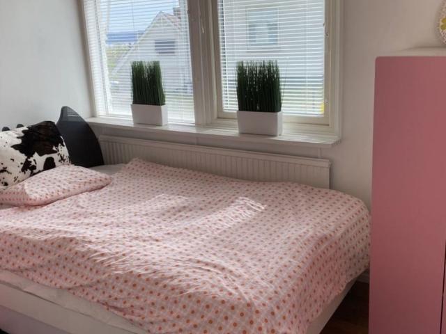 Hus hyra i Jönköping