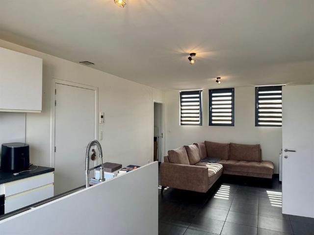 Appartement location à Berlaar, Antwerpen