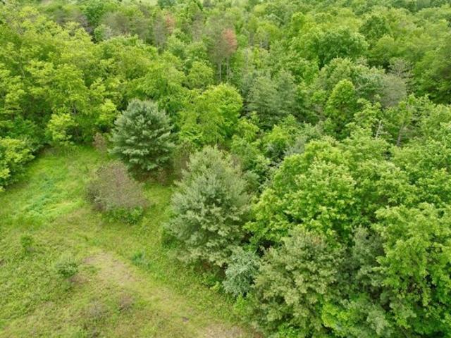 Land for sale in Uniontown