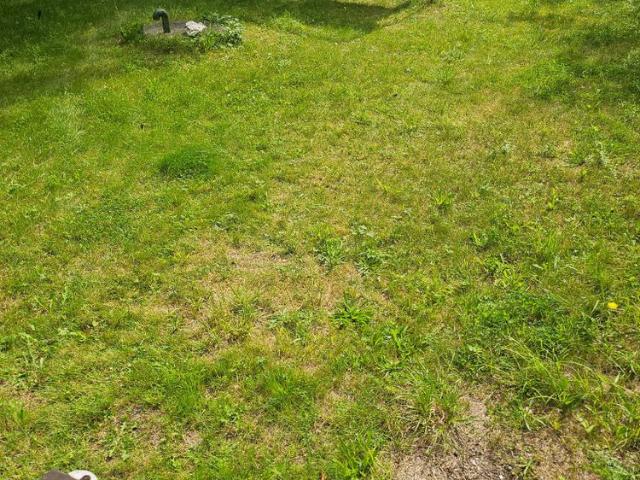 Hus hyra i Tingstäde, Gotland