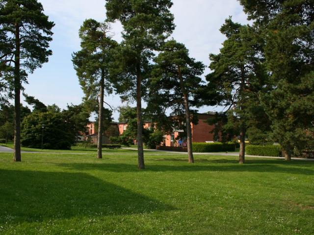 Lägenhet hyra i Hemse, Gotland