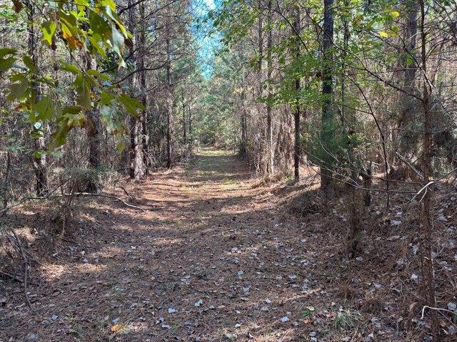 Land for sale in Bay Springs, Mississippi
