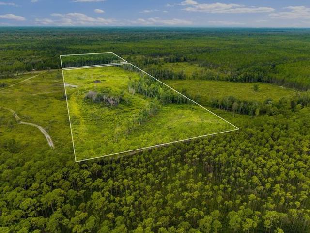 Land for sale in Sopchoppy, Wakulla County