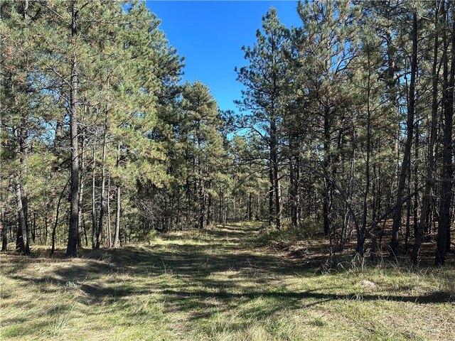 Land for sale in Musselshell, Montana