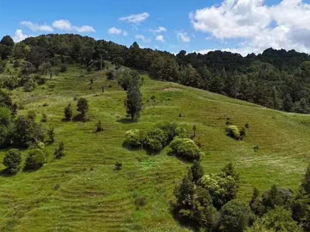 House for sale in Ohaeawai, Northland