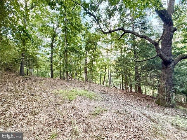Land for sale in Franklin, Pendleton County