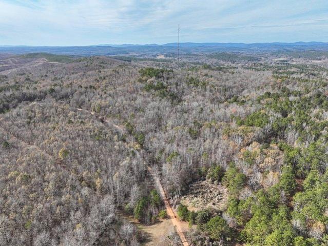 Land for sale in Ashland, Alabama
