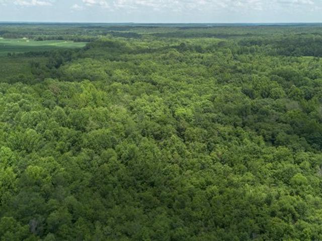 Land for sale in Tennessee