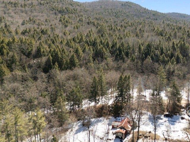 House for sale in Jamaica, Vermont