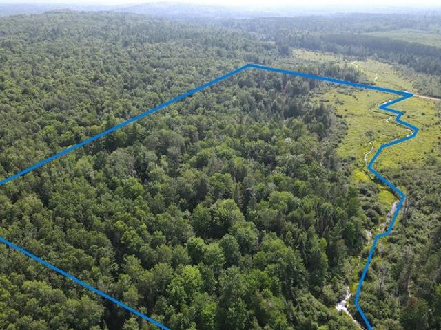 Land for sale in Sawyer, Wisconsin