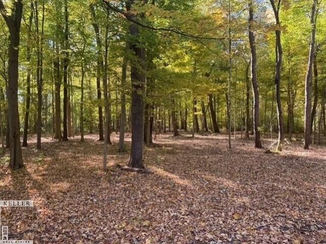 Land for sale in New Haven, Michigan