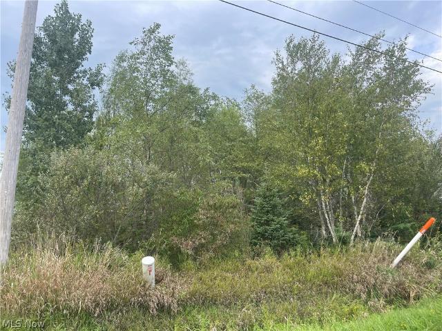 Land for sale in Jefferson, Ashtabula County