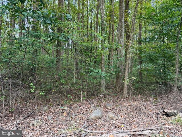 Land for sale in Warren County, Virginia