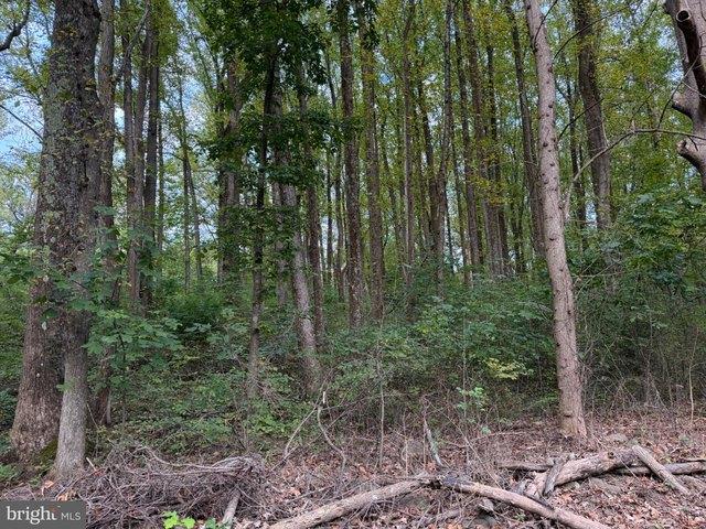 Land for sale in Bentonville, Warren County