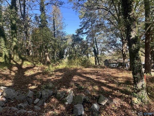 Land for sale in Guntersville, Alabama