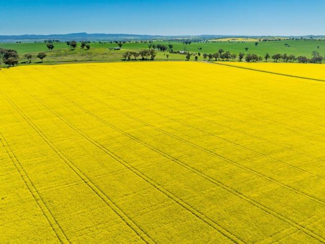Acreage for sale in Billimari, New South Wales