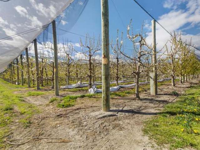 Property for sale in Otakou