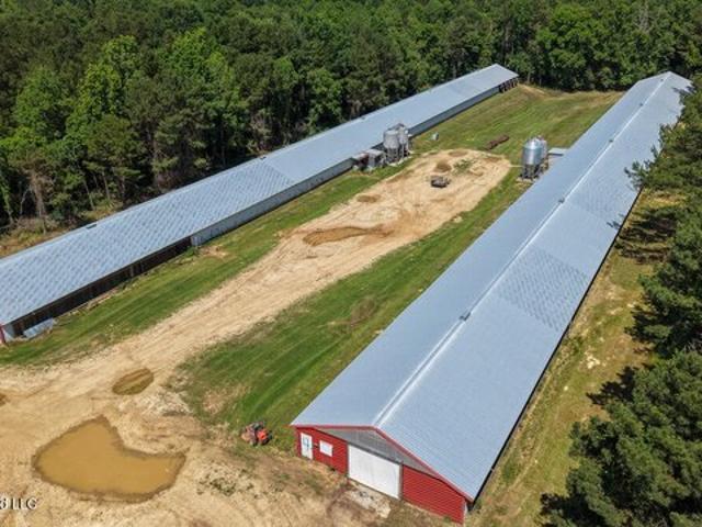 Farm for sale in State Line, Mississippi