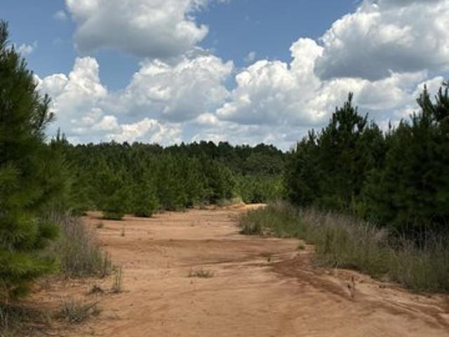 Land for sale in Tylertown, Mississippi
