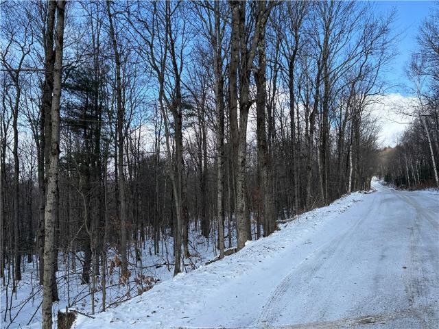Land for sale in Roseboom, New York