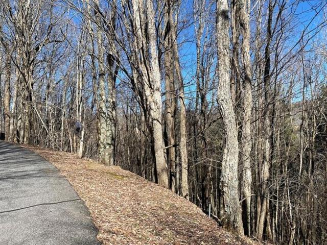 House for sale in Avery, North Carolina