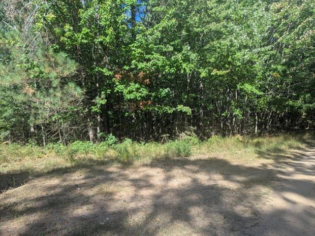 Land for sale in Town of Conover, Vilas County