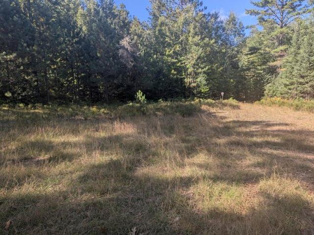Land for sale in Town of Conover, Vilas County