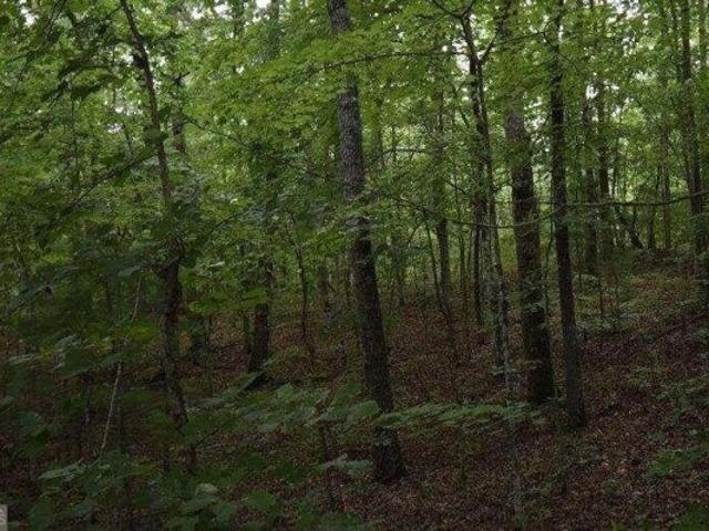 House for sale in Murphy, North Carolina