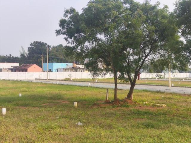 Land for sale in Alinjivakkam, Tamil Nadu