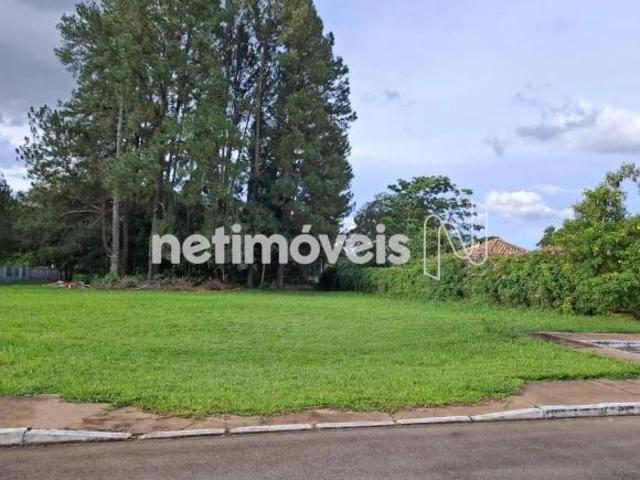 Terreno venda em Park Way Quadra 15, Park Way