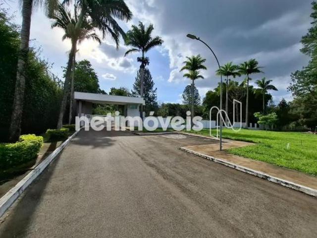 Terreno venda em Park Way Quadra 15, Park Way