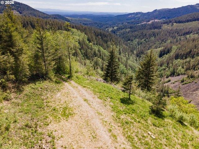 Land for sale in Washougal, Washington