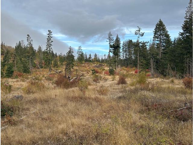 Land for sale in Lyle, Klickitat County