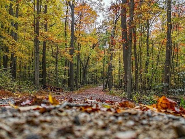 Land for sale in Morgantown, West Virginia