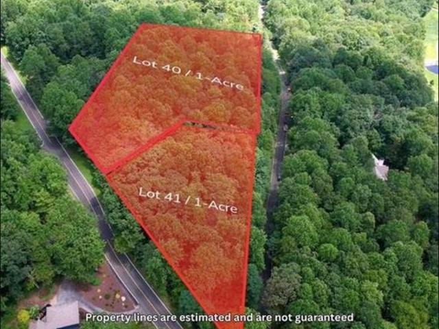 Land for sale in Landrum, South Carolina