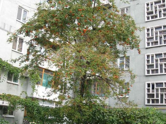 Квартира аренда в Запорожье