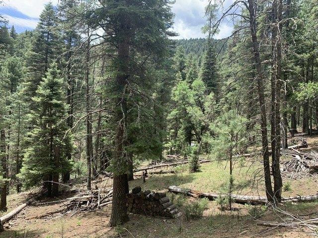 Land for sale in Cloudcroft, New Mexico