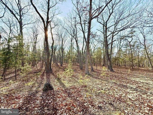 Land for sale in Lahmansville, West Virginia