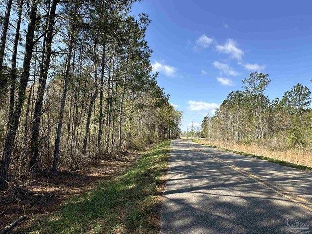 Land for sale in Frisco City, Alabama