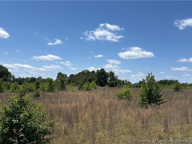 Land for sale in Red Springs, North Carolina