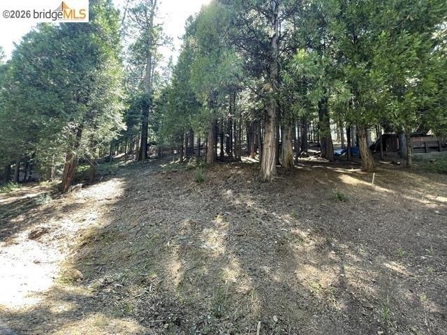 Land for sale in Long Barn, California