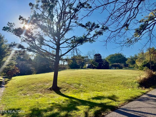 Land for sale in New Tazewell, East Tennessee